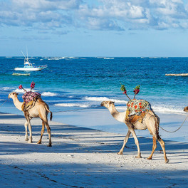 diani beach (5)