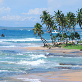 galle4