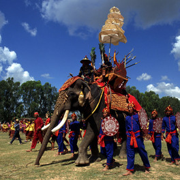 Surin Elephant Roundup, Surin