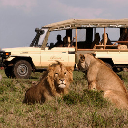 Keňa - Masai Mara