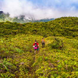 Guadeloupe – národní park a sopka La Sufrierre