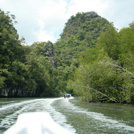Langkawi - mezi plážemi a mangrovy