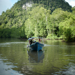 Langkawi - mezi plážemi a mangrovy