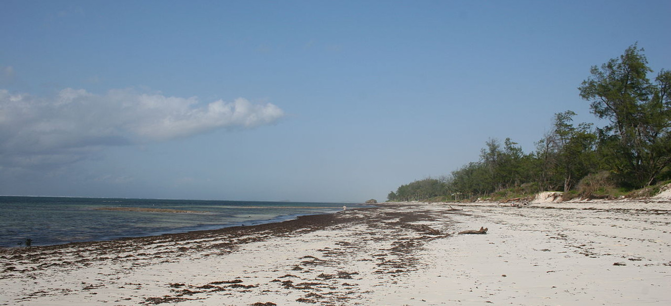 watamu