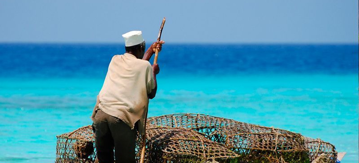 zanzibar_47384997761_o