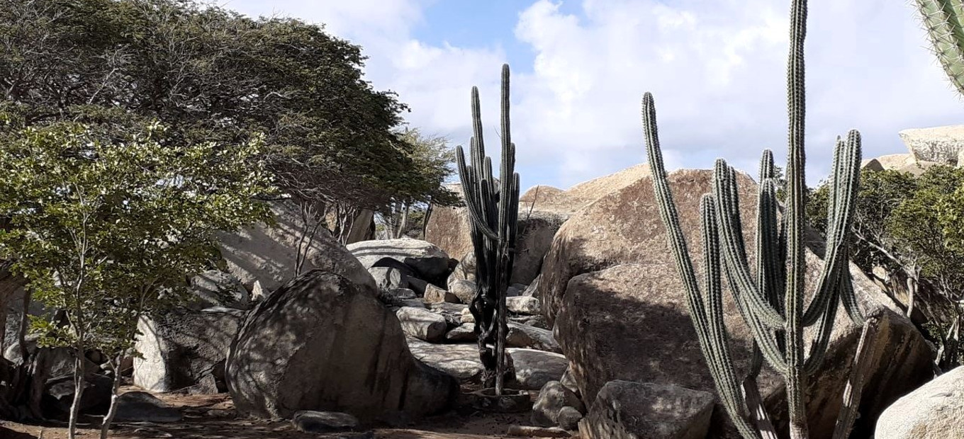 Aruba - Ayo a Casibari