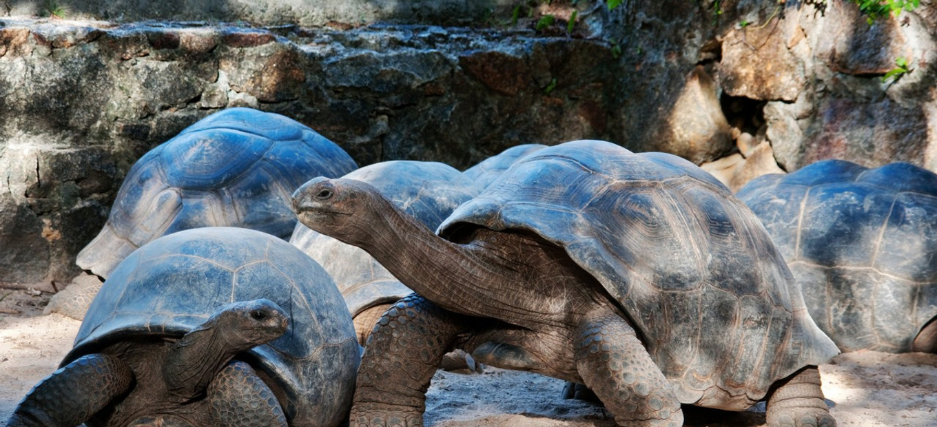 Seychely - přírodní parky