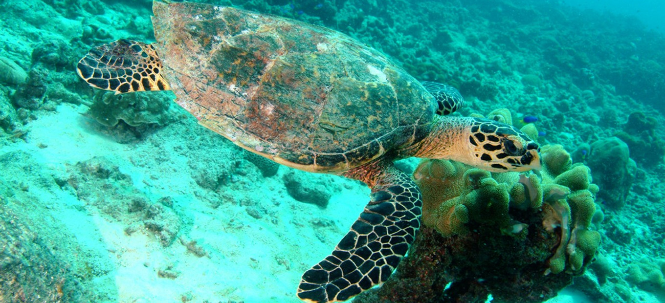 Seychely - přírodní parky