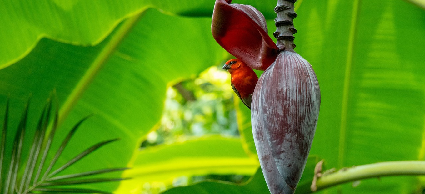 Seychely - přírodní parky
