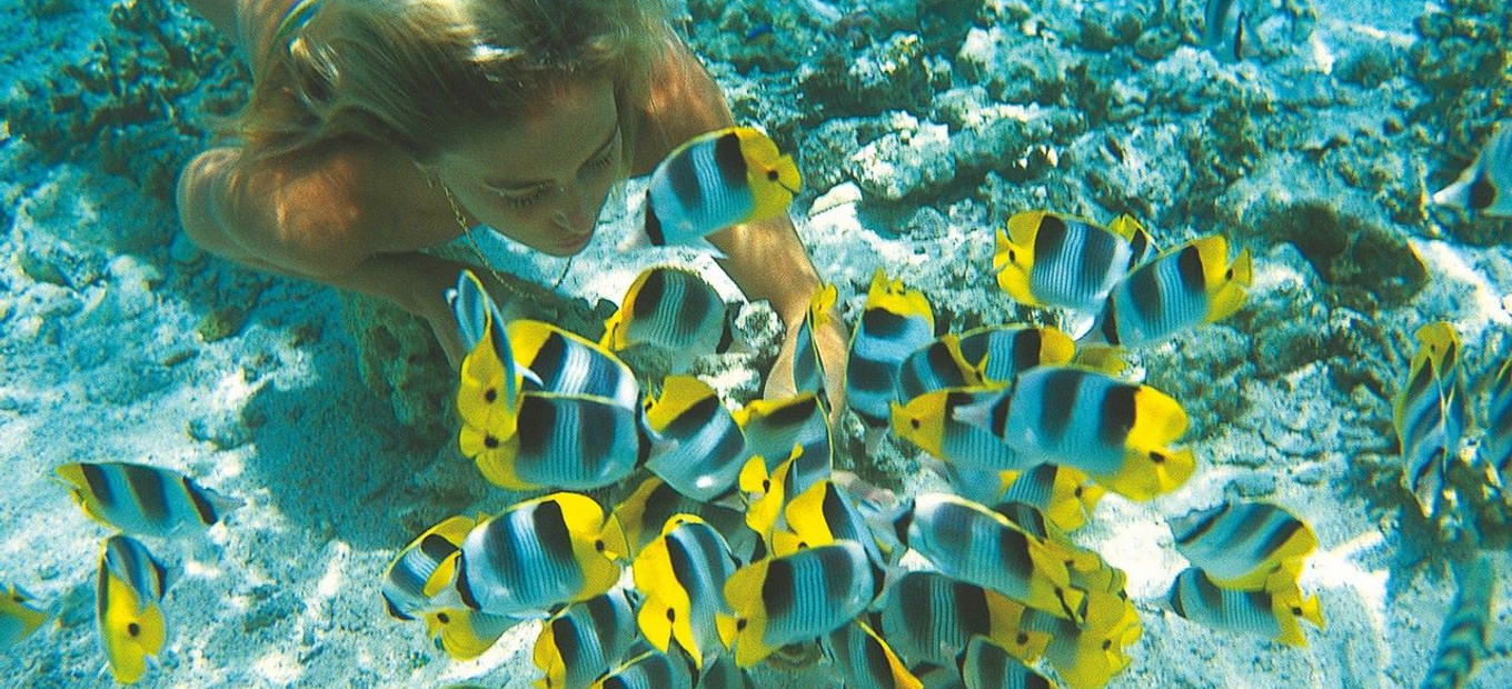 Francouzská Polynésie - parametry