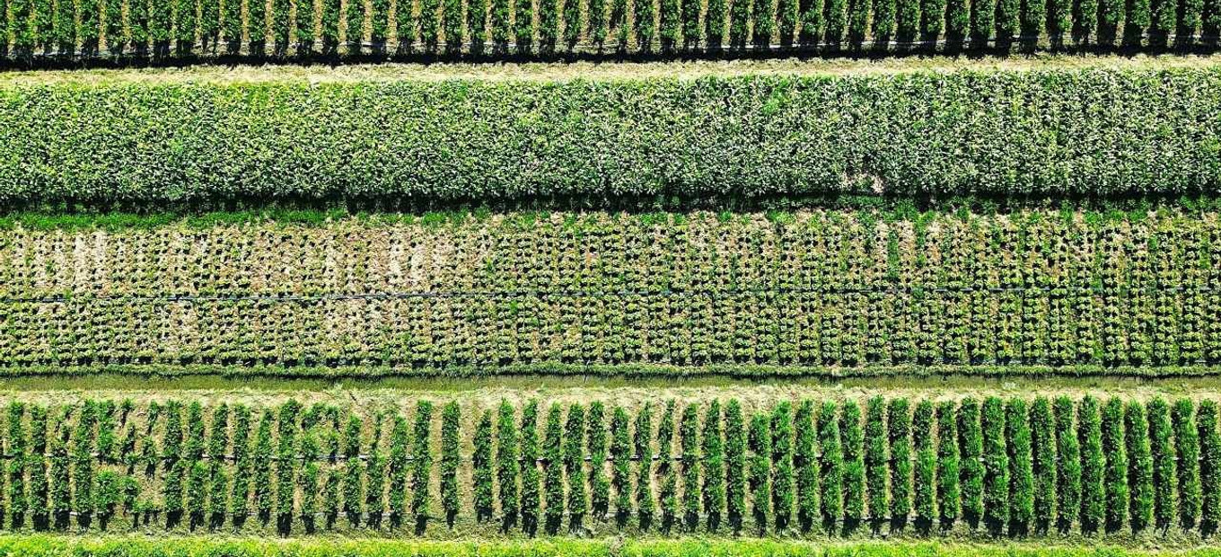 Trinidad a Tobago - ekonomika