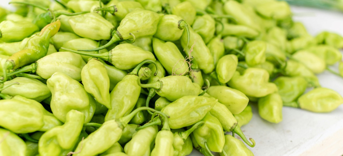 Trinidad a Tobago - ekonomika