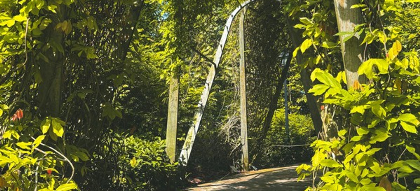 Singapur - příroda