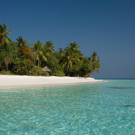 Coco Palm Dhuni Kolhu