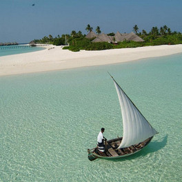 Coco Palm Dhuni Kolhu