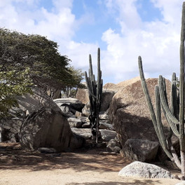 Aruba - Ayo a Casibari