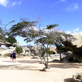 Aruba - Ayo a Casibari