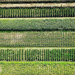 Trinidad a Tobago - ekonomika