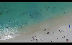 Hotel Riu Palace Antillas All Inclusive Adults Only - Palm Beach - Aruba - RIU Hotels & Resorts