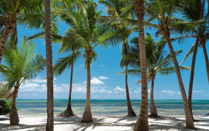 Catalonia Bavaro Royal (62)