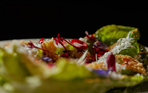 Cayo Levantado Resort