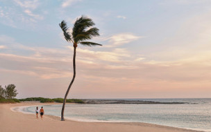 The Cove at Atlantis