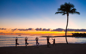 The Cove at Atlantis