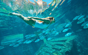 The Royal at Atlantis