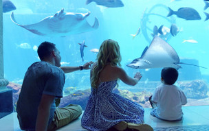 The Royal at Atlantis