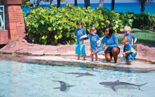 The Royal at Atlantis