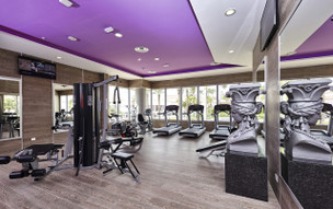 Riu Palace Paradise Island