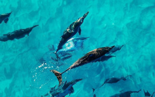 Maradiva Villas Resort and Spa