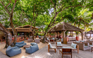 The Ravenala Attitude