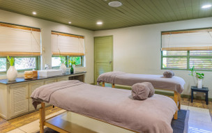 The Ravenala Attitude