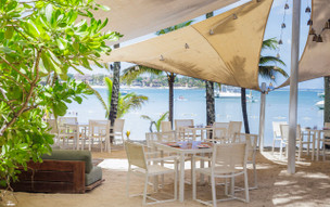 The Ravenala Attitude