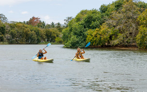 The Ravenala Attitude