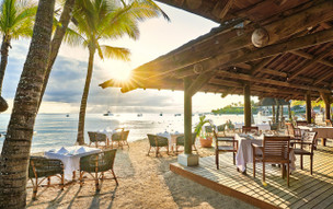 The Ravenala Attitude