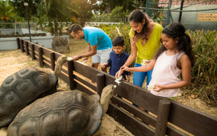 Maritim Resort & Spa Mauritius