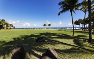 Shanti Maurice Resort & Spa