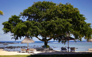 Shanti Maurice Resort & Spa