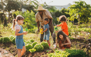 Heritage Le Telfair Golf & Wellness