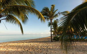 Allegro Cozumel Resort