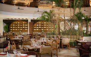 Valentin Imperial Maya