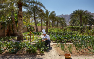 Six Senses Zighy Bay