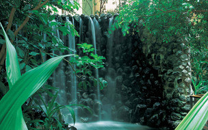 Radisson Blu Resort, Sharjah  (37)