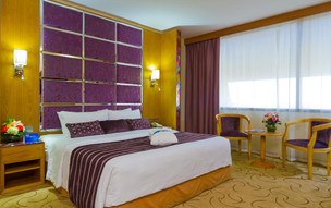 Radisson Blu Resort, Sharjah  (24)