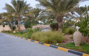 Umm Al Quwain Beach (25)