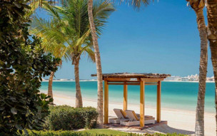 One and Only The Palm