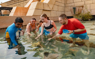 Atlantis The Palm, Dubai