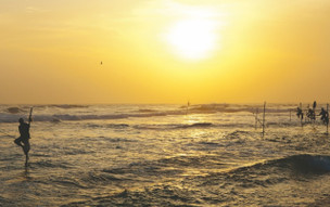 The Fortress Resort and Spa